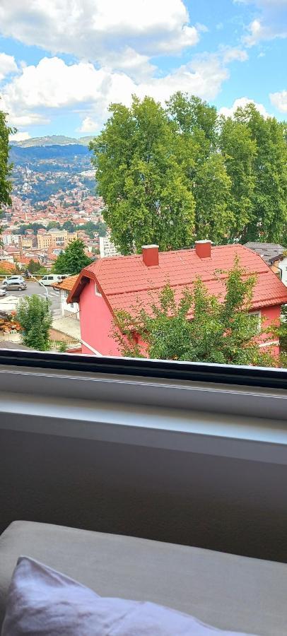 Cemo Daire