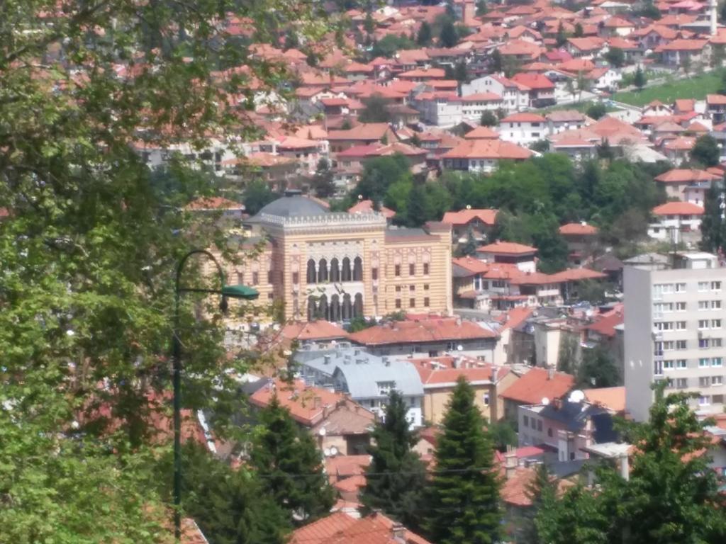 Cemo Daire *